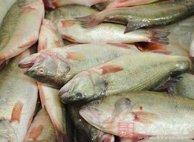 速凍鳕魚肉80g,新鮮春筍2根約500g,紹酒2茶匙10ml等 速凍鳕魚肉80g,新鮮春筍2根約500g,紹酒2茶匙10ml等