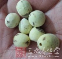 說到秋季的降火食材，自然首推蓮子心