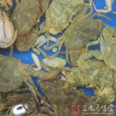 先把蟹清洗干淨，用淡鹽水養半小時