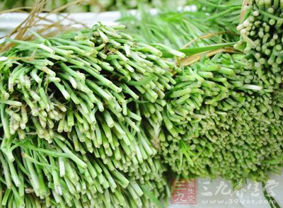 雞蛋2個,鹽1捏,菜油2湯匙,沙河粉400克,韭菜50克,綠豆芽50克,鹽1捏,生抽2茶匙 雞蛋2個,鹽1捏,菜油2湯匙,沙河粉400克,韭菜50克,綠豆芽50克,鹽1捏,生抽2茶匙