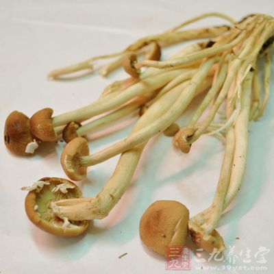 雞腿菇100克，鳳尾菇100克，鹽1捏，白胡椒粉1捏，沙河粉300克等