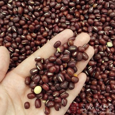 將川萆薢、赤茯苓、木棉花