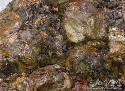 人們都會選擇蜂膠來補補身體 人們都會選擇蜂膠來補補身體