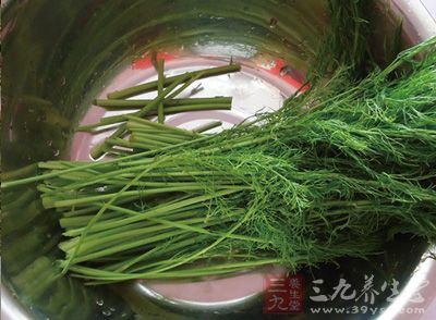 將茴香去根清洗干淨