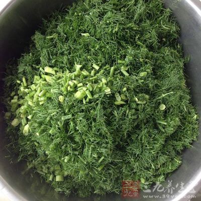 茴香能刺激胃腸神經血管