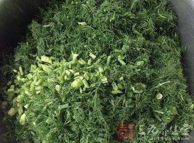 茴香頭洗淨