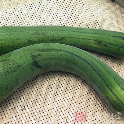 絲瓜的營養價值