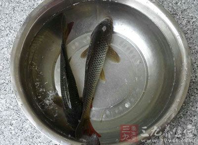 把魚清理干淨，再把水空干
