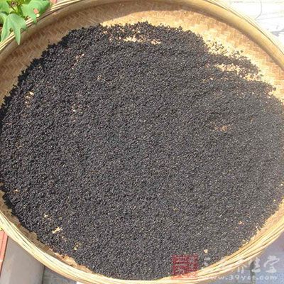 除了傳統又好吃的芝麻糊，小編將要告訴你，芝麻也可以有這樣的吃法