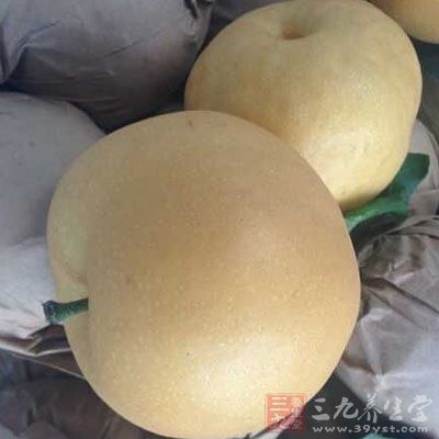 梨性寒、味甘,能幫助消化 梨性寒、味甘,能幫助消化