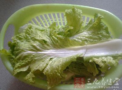 將大白菜擇洗干淨 將大白菜擇洗干淨
