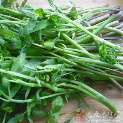 水芹菜具有清熱解毒、排濕消腫、止咳化痰的作用