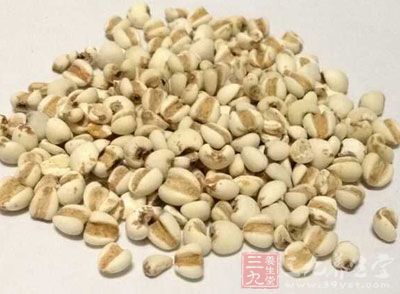 准備好薏米100克