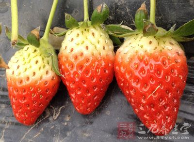 草莓、藍莓、蔓越莓去蒂洗淨