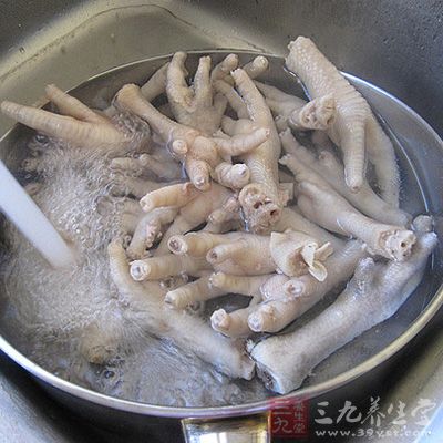 雞腳在入湯前要先用開水焯兩分鐘