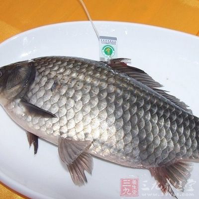 魚是進補的良好水產食品