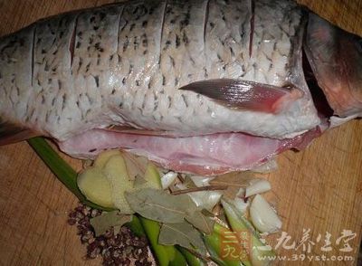 活鯉魚去內髒冼淨，在魚身上切花刀