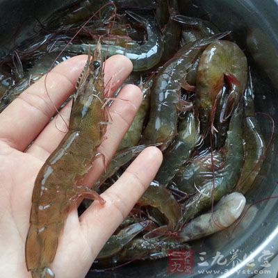 蝦的營養價值
