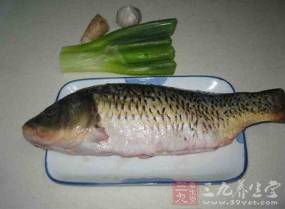 將肥魚去鰓、鳍，開膛去內髒洗淨