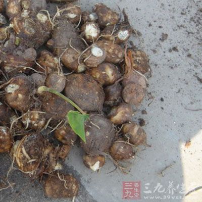 芋頭的營養分析
