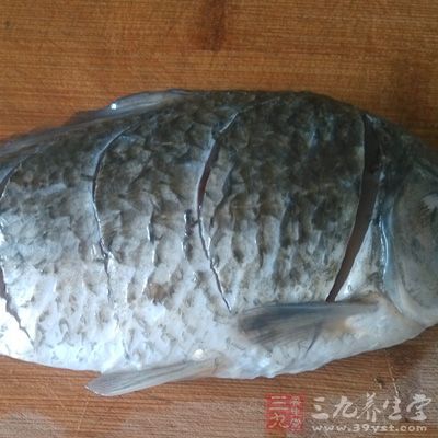 做枸杞燒鲫魚時需要鲫魚1條 做枸杞燒鲫魚時需要鲫魚1條