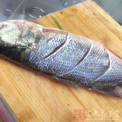 將洗淨的鲈魚畫花刀
