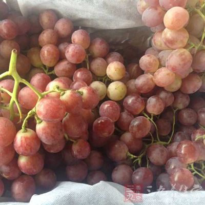 可以多吃葡萄 可以多吃葡萄