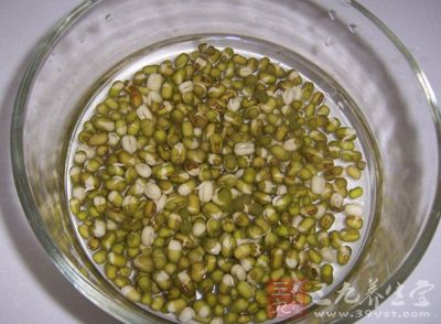綠豆用水泡四個小時 綠豆用水泡四個小時
