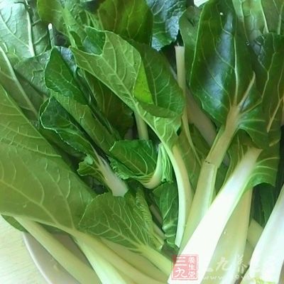 蔬菜中含有多種維生素、纖維素和礦物質