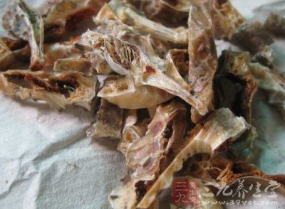 海馬可以直接服用健體治病