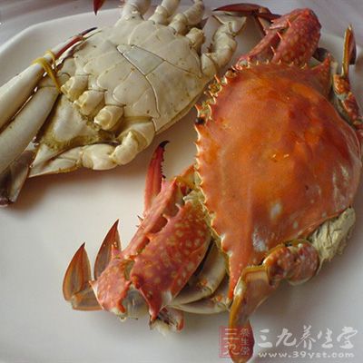 螃蟹的營養價值