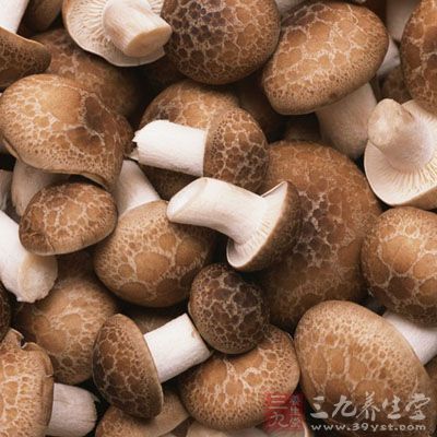 香菇的介紹