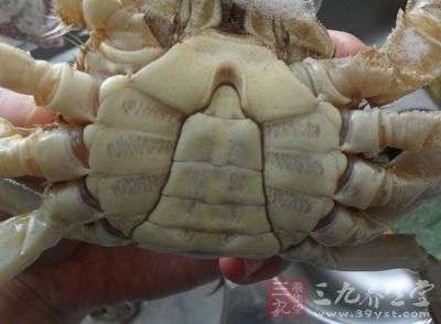 將螃蟹用清水洗淨