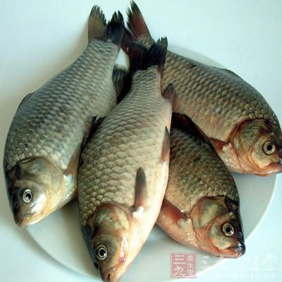 魚肉含有葉酸、維生素B2、維生素B12等維生素