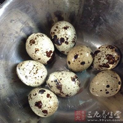 鹌鹑蛋被認為是動物中的人參