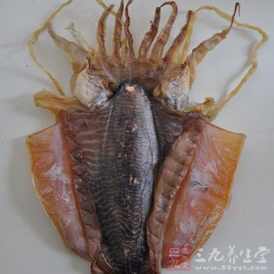 墨魚味道鮮美，營養豐富