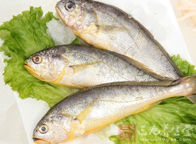 黃花魚價格低廉，做法也是很簡單
