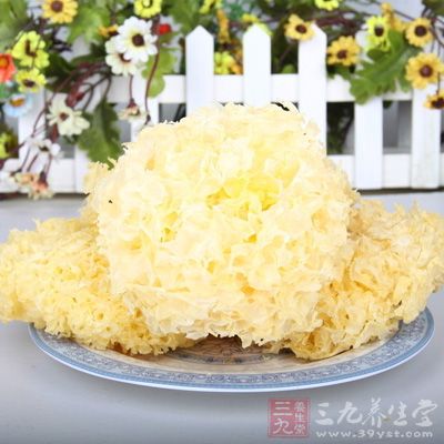 銀耳也是一種有營養的食材，它是一種含粗纖維的食物