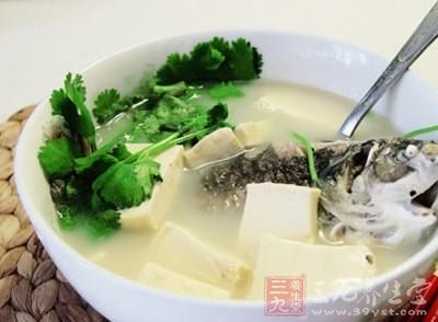 鲫魚豆腐下奶湯