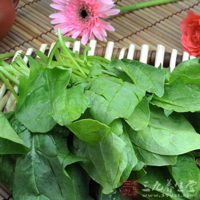 菠菜不宜與牛奶等鈣質含量高的食物同食