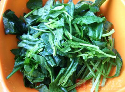 菠菜摘洗干淨