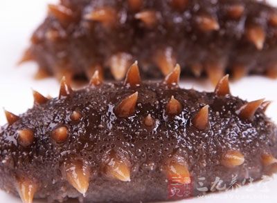 海參是一種海洋棘皮浮游生物 海參是一種海洋棘皮浮游生物