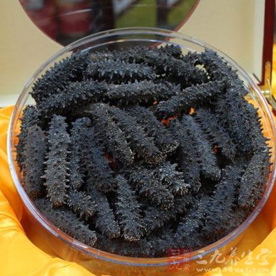 海參的修復再生功能,是一個重大特點 海參的修復再生功能,是一個重大特點