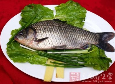 鲫魚不僅味道鮮美而且魚肉的營養價值很高