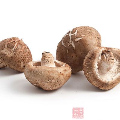 需要的食材有一只鴿子,三朵香菇 需要的食材有一只鴿子,三朵香菇