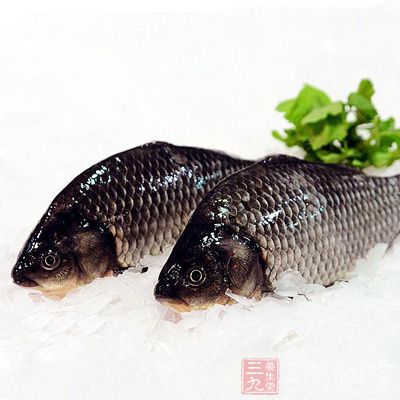 食材主料：新鮮的鲫魚500g