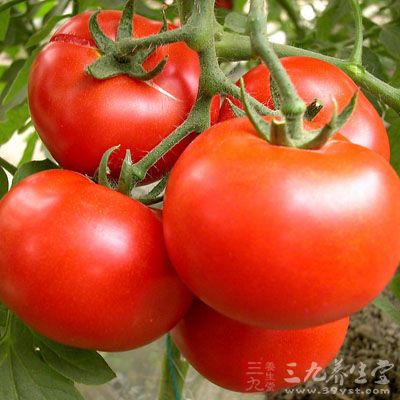 翻兩下後放入用手撕開的軟軟的西紅柿 翻兩下後放入用手撕開的軟軟的西紅柿