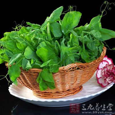 最後再把豌豆尖放到熱水中湯一下 最後再把豌豆尖放到熱水中湯一下