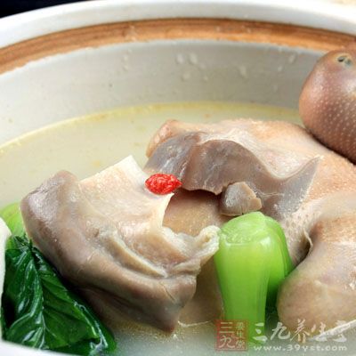 現代醫學認為:鴿肉壯體補腎、生機活力 現代醫學認為:鴿肉壯體補腎、生機活力