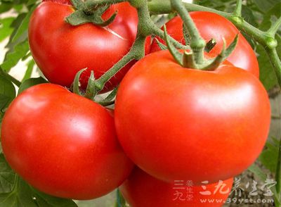 面、豬肉、番茄、洋蔥